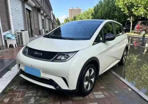 2023 BYD DOLPHIN,autocango,china used car exporter,china ev exporter,chinese used car exporter,chinese used ev exporter