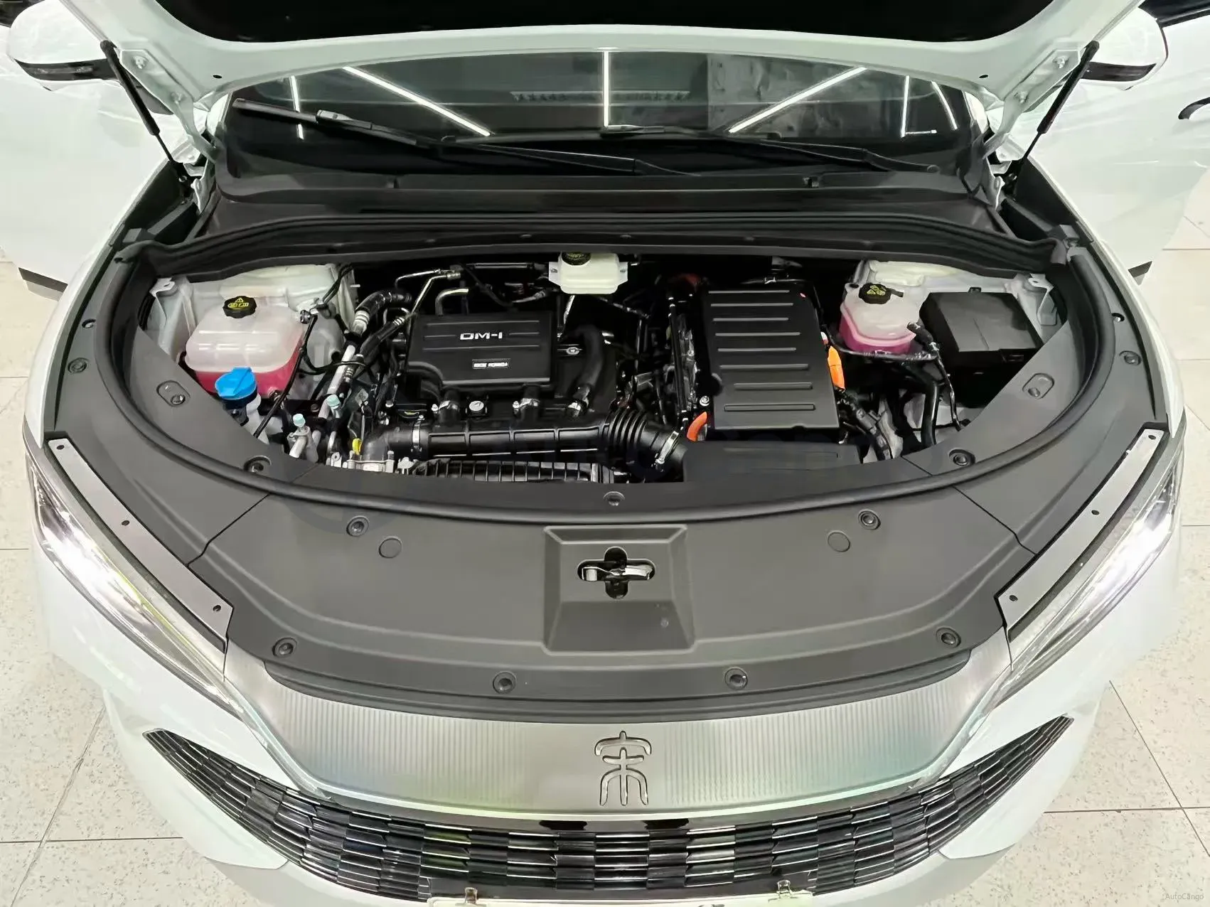 2024 BYD SongL DM-i 1.5L 101HP L4 E-CVT PHEV 18.3KWH,autocango,china used car exporter,china ev exporter,chinese used car exporter,chinese used ev exporter