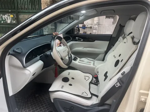 2025 WuLing YangGuang E Truck BEV 41.9KWH