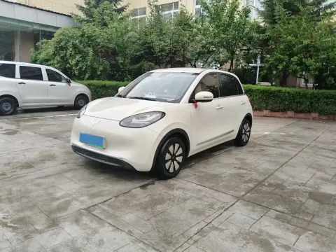 2023 WuLing BinGuo BEV 17.3KWH,autocango,china used car exporter,china ev exporter,chinese used car exporter,chinese used ev exporter