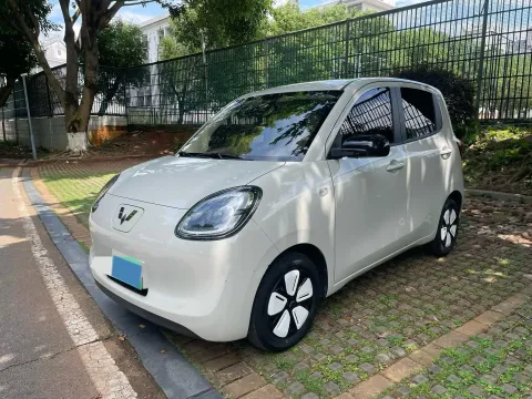 2025 WuLing HongGuang MINI EV BEV 16.2KWH,autocango,china used car exporter,china ev exporter,chinese used car exporter,chinese used ev exporter