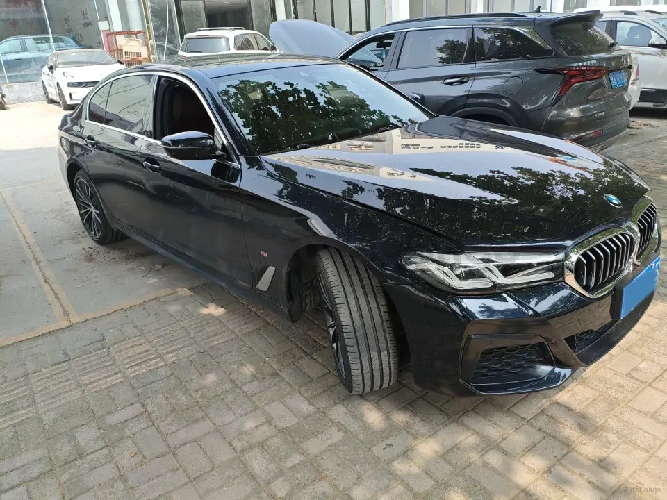 2023 BMW 5 Series 2.0T 245HP L4 8AT,autocango,china used car exporter,china ev exporter,chinese used car exporter,chinese used ev exporter
