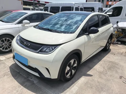 2023 BYD DOLPHIN,autocango,china used car exporter,china ev exporter,chinese used car exporter,chinese used ev exporter