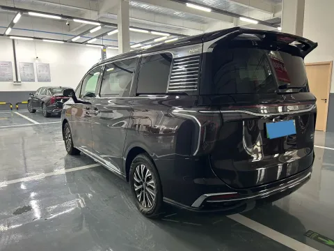 2024 HongQi HQ9 2.0T 163HP L4 1DHT PHEV 20.14KWH