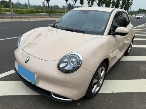 2024 ORA FUNKYCAT,autocango,china used car exporter,china ev exporter,chinese used car exporter,chinese used ev exporter