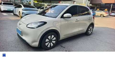 2023 WuLing BinGuo BEV 31.9KWH,autocango,china used car exporter,china ev exporter,chinese used car exporter,chinese used ev exporter