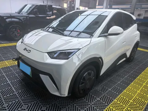 2023 BYD SEAGULL,autocango,china used car exporter,china ev exporter,chinese used car exporter,chinese used ev exporter