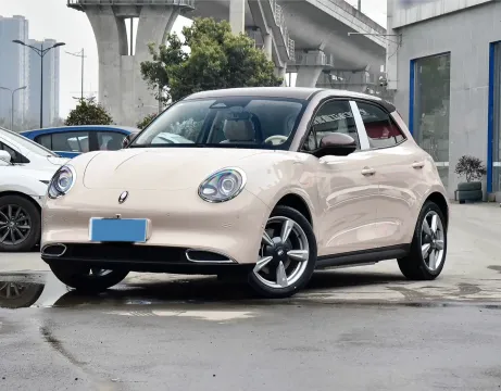 2021 ORA FUNKYCAT,autocango,china used car exporter,china ev exporter,chinese used car exporter,chinese used ev exporter