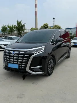 2024 DENZA D9,autocango,china used car exporter,china ev exporter,chinese used car exporter,chinese used ev exporter