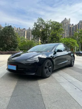 2021 TESLA MODEL 3,autocango,china used car exporter,china ev exporter,chinese used car exporter,chinese used ev exporter