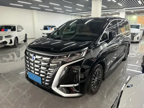 2024 DENZA D9,autocango,china used car exporter,china ev exporter,chinese used car exporter,chinese used ev exporter
