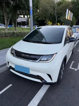 2025 BYD DOLPHIN,autocango,china used car exporter,china ev exporter,chinese used car exporter,chinese used ev exporter