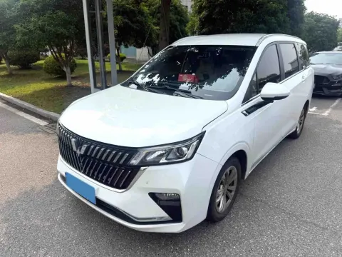 2022 VENUCIA T60,autocango,china used car exporter,china ev exporter,chinese used car exporter,chinese used ev exporter