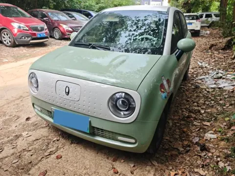 2021 ORA BLACKCAT,autocango,china used car exporter,china ev exporter,chinese used car exporter,chinese used ev exporter