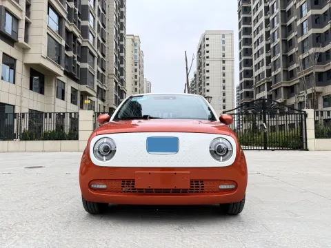 2021 Ora BlackCat BEV 33KWH