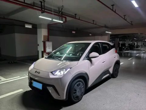 2025 BYD SEAGULL,autocango,china used car exporter,china ev exporter,chinese used car exporter,chinese used ev exporter
