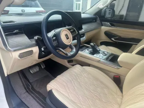 2023 Tank 500 2.0T 252HP L4 9AT PHEV 37.1KWH,autocango,china used car exporter,china ev exporter,chinese used car exporter,chinese used ev exporter