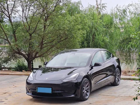 2022 TESLA MODEL 3,autocango,china used car exporter,china ev exporter,chinese used car exporter,chinese used ev exporter