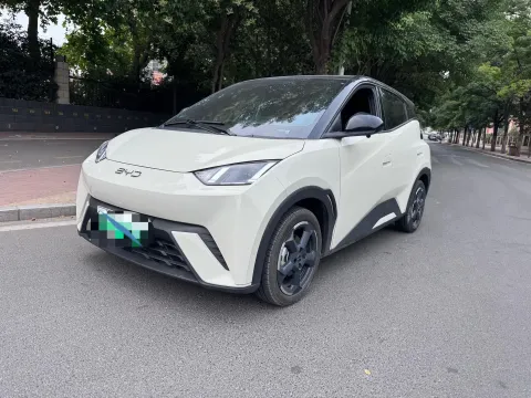 2024 BYD SEAGULL,autocango,china used car exporter,china ev exporter,chinese used car exporter,chinese used ev exporter
