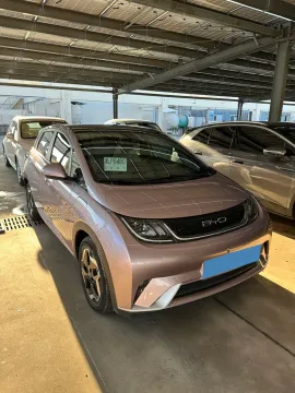 2021 BYD Yuan Pro BEV 50.1KWH