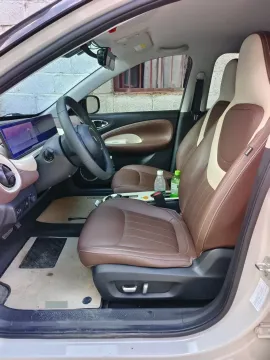 2023 WuLing BinGuo BEV 37.9KWH,autocango,china used car exporter,china ev exporter,chinese used car exporter,chinese used ev exporter