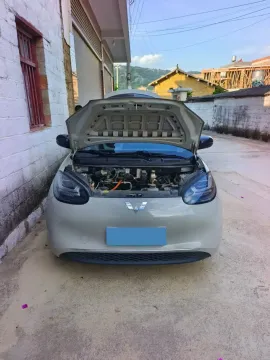 2023 WuLing BinGuo BEV 37.9KWH