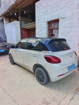 2023 WuLing BinGuo BEV 37.9KWH