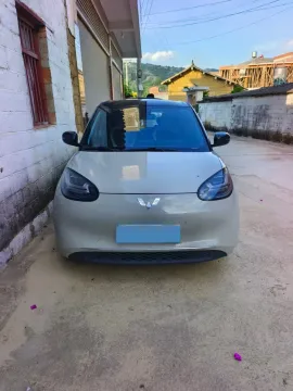 2023 WuLing BinGuo BEV 37.9KWH,autocango,china used car exporter,china ev exporter,chinese used car exporter,chinese used ev exporter