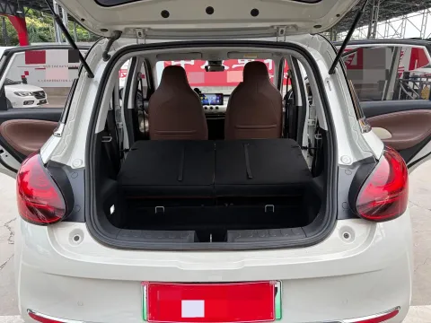 2023 WuLing BinGuo BEV 31.9KWH