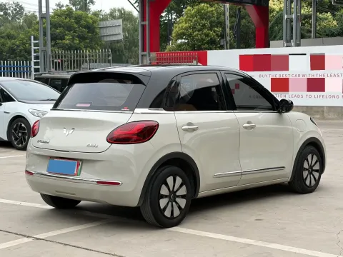 2023 WuLing BinGuo BEV 31.9KWH