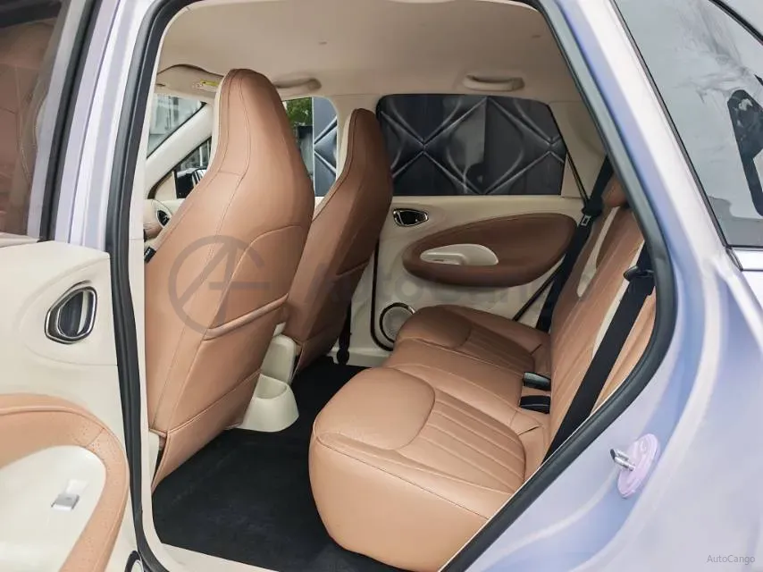 2024 WuLing BinGuo BEV 37.9KWH,autocango,china used car exporter,china ev exporter,chinese used car exporter,chinese used ev exporter