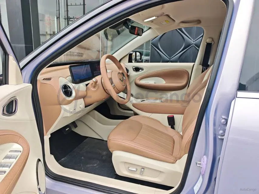 2024 WuLing BinGuo BEV 37.9KWH,autocango,china used car exporter,china ev exporter,chinese used car exporter,chinese used ev exporter