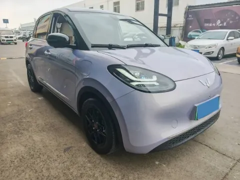 2024 WuLing BinGuo BEV 37.9KWH