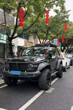 2024 TANK 300,autocango,china used car exporter,china ev exporter,chinese used car exporter,chinese used ev exporter