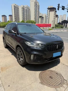 2019 WEY VV6 2.0T 224HP L4 7DCT
