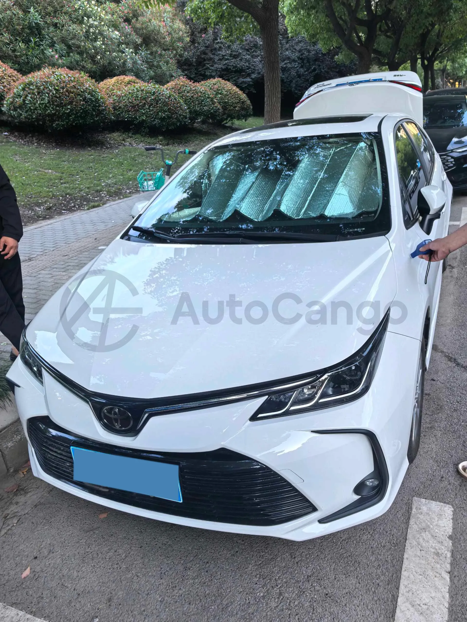 2019 Toyota Corolla 1.2T 116HP L4 CVT,autocango,china used car exporter,china ev exporter,chinese used car exporter,chinese used ev exporter