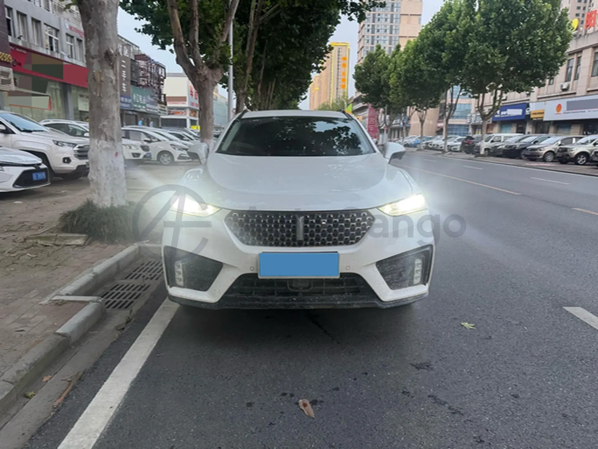 2020 WEY VV7 2.0T 227HP L4 7DCT PHEV,autocango,china used car exporter,china ev exporter,chinese used car exporter,chinese used ev exporter
