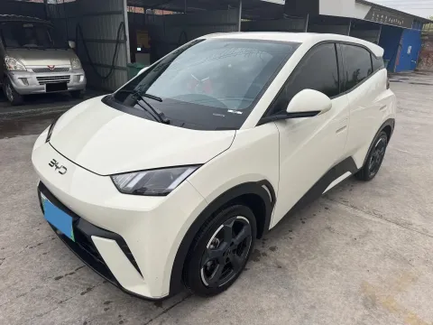 2024 BYD SEAGULL,autocango,china used car exporter,china ev exporter,chinese used car exporter,chinese used ev exporter
