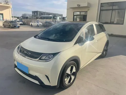 BYD