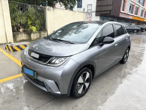 BYD