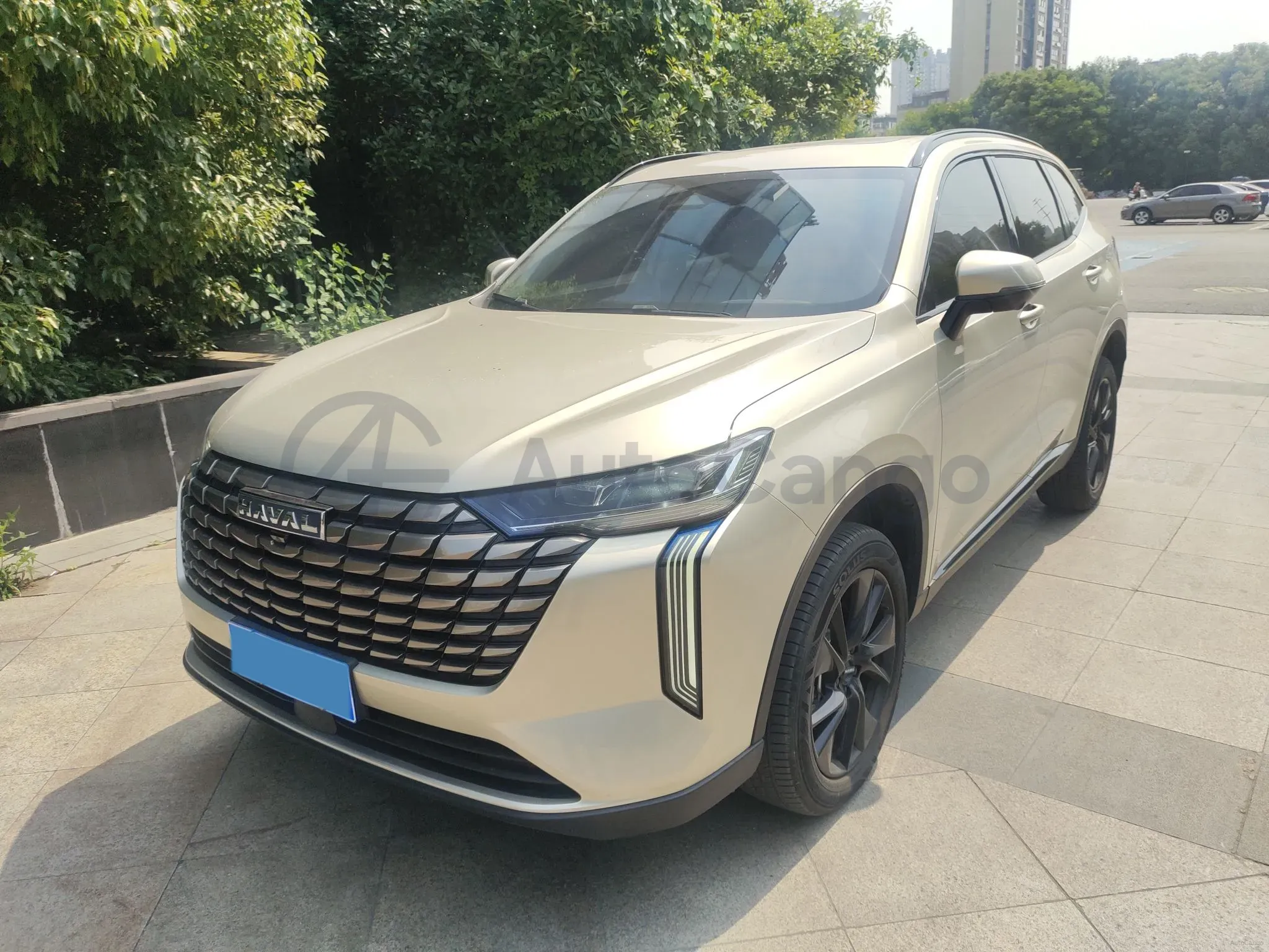 2024 Haval H6 1.5T 184HP L4 7DCT,autocango,china used car exporter,china ev exporter,chinese used car exporter,chinese used ev exporter