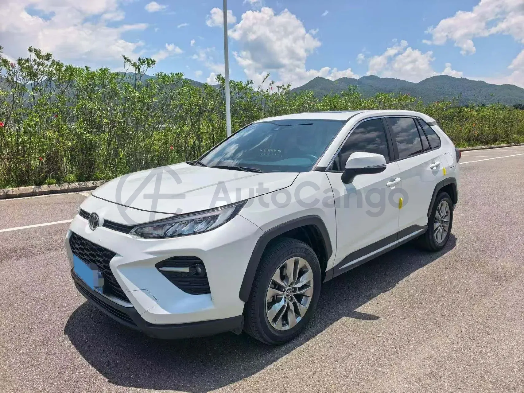 2023 Toyota Wildlander 2.0L 171HP L4 CVT,autocango,china used car exporter,china ev exporter,chinese used car exporter,chinese used ev exporter
