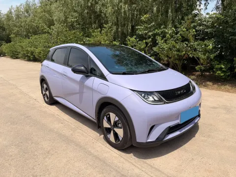 2023 BYD Dolphin BEV 44.928KWH,autocango,china used car exporter,china ev exporter,chinese used car exporter,chinese used ev exporter