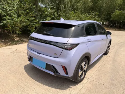 2023 BYD Dolphin BEV 44.928KWH,autocango,china used car exporter,china ev exporter,chinese used car exporter,chinese used ev exporter