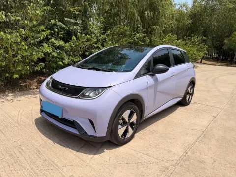 2023 BYD Dolphin BEV 44.928KWH,autocango,china used car exporter,china ev exporter,chinese used car exporter,chinese used ev exporter