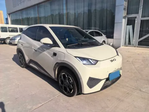 2025 BYD Seagull BEV 30.08KWH,autocango,china used car exporter,china ev exporter,chinese used car exporter,chinese used ev exporter
