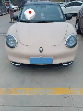2021 Ora FunkyCat BEV 47.8KWH,autocango,china used car exporter,china ev exporter,chinese used car exporter,chinese used ev exporter