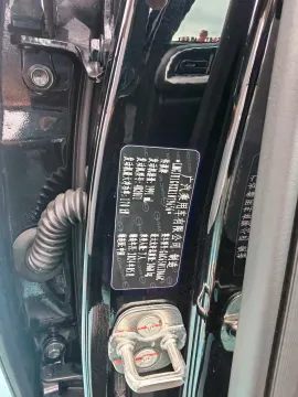 2024 GAC Trumpchi GS8 2.0T 252HP L4 8AT