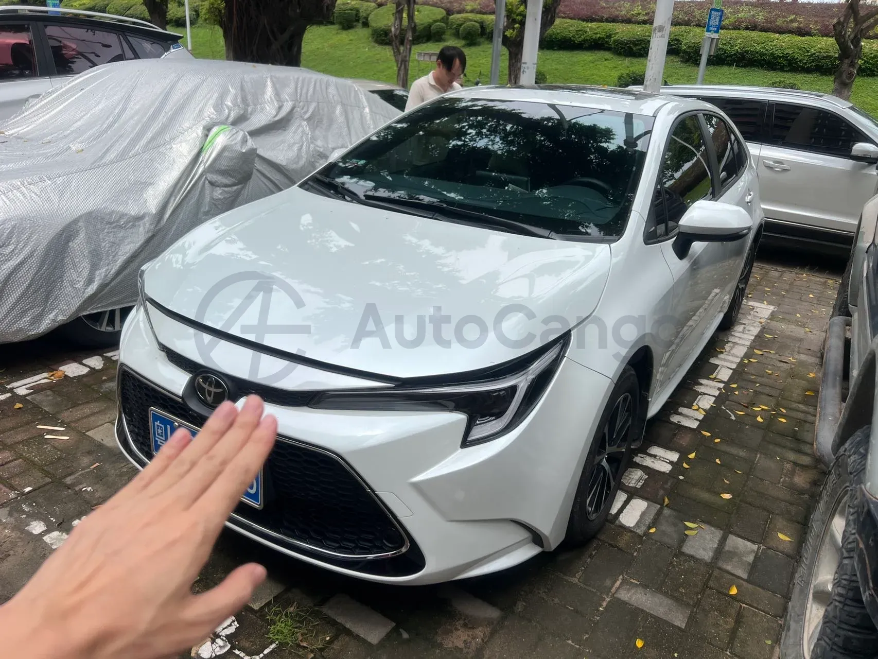 2024 Toyota Levin 1.2T 116HP L4 CVT,autocango,china used car exporter,china ev exporter,chinese used car exporter,chinese used ev exporter
