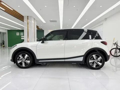 2024 Smart smart Elf 1 BEV 49KWH,autocango,china used car exporter,china ev exporter,chinese used car exporter,chinese used ev exporter